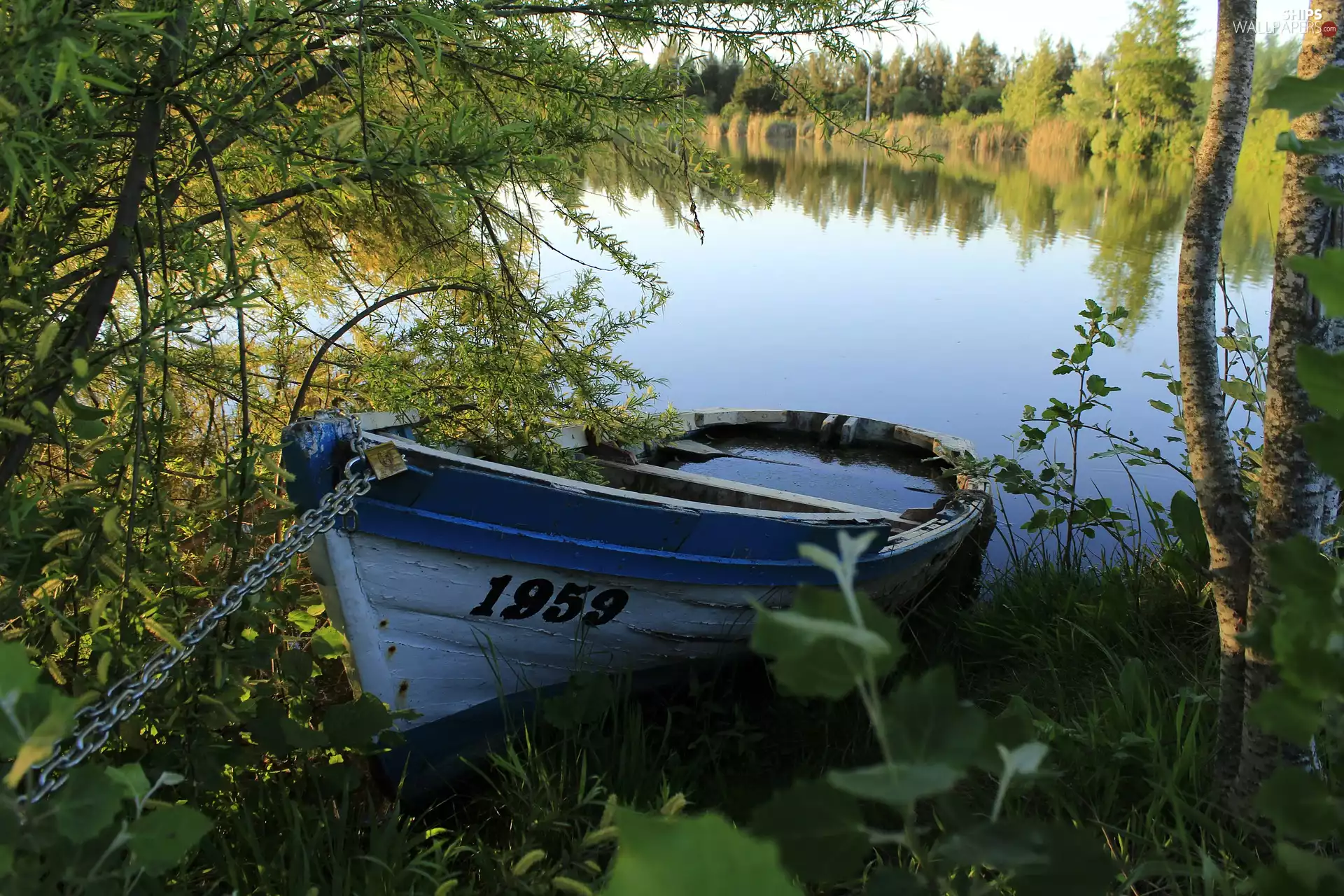Boat, viewes, lake, trees