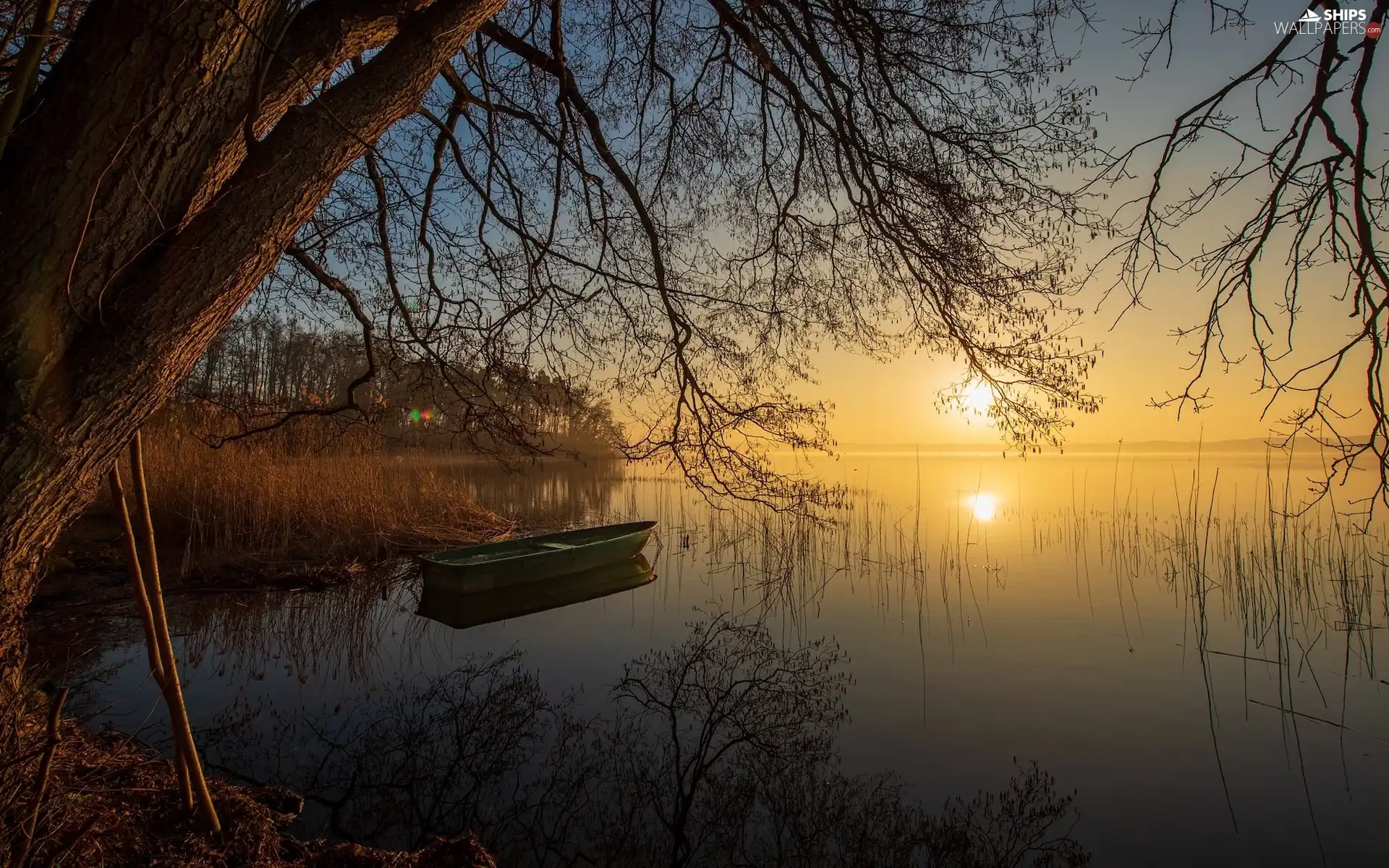 viewes, Sunrise, Boat, trees, lake, rushes, reflection