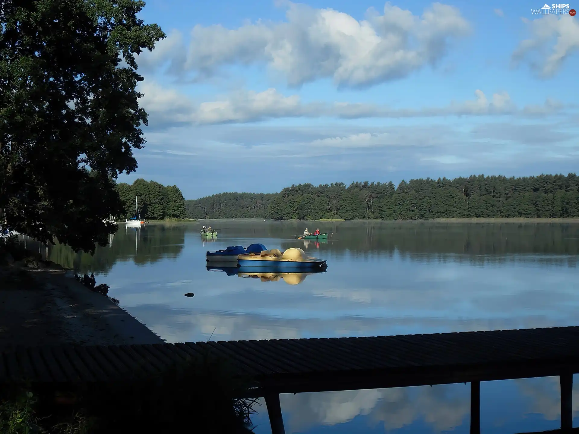 forest, Anglers, viewes, boats, lake, trees, clouds