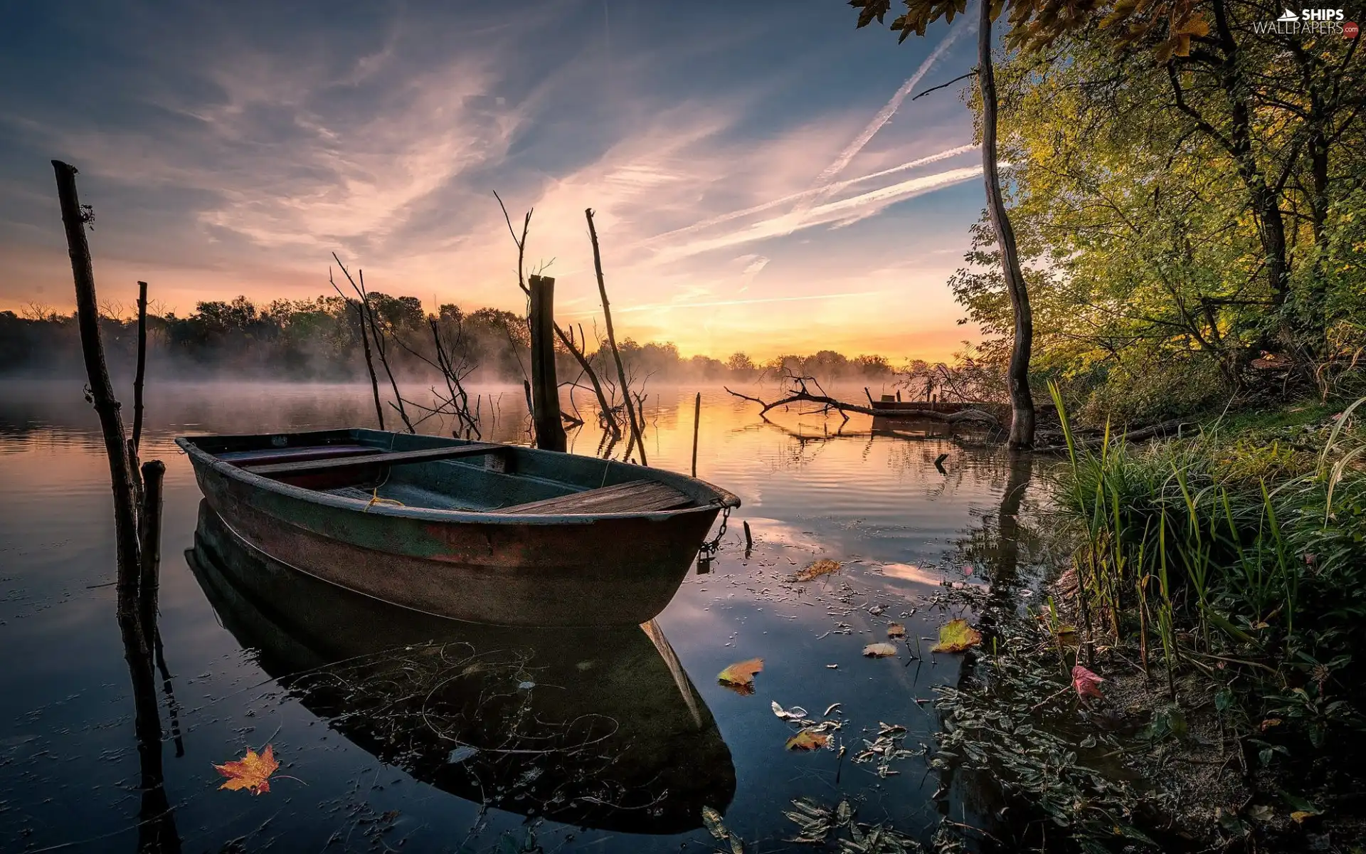 boat, Fog, grass, morning, viewes, lake, autumn, trees