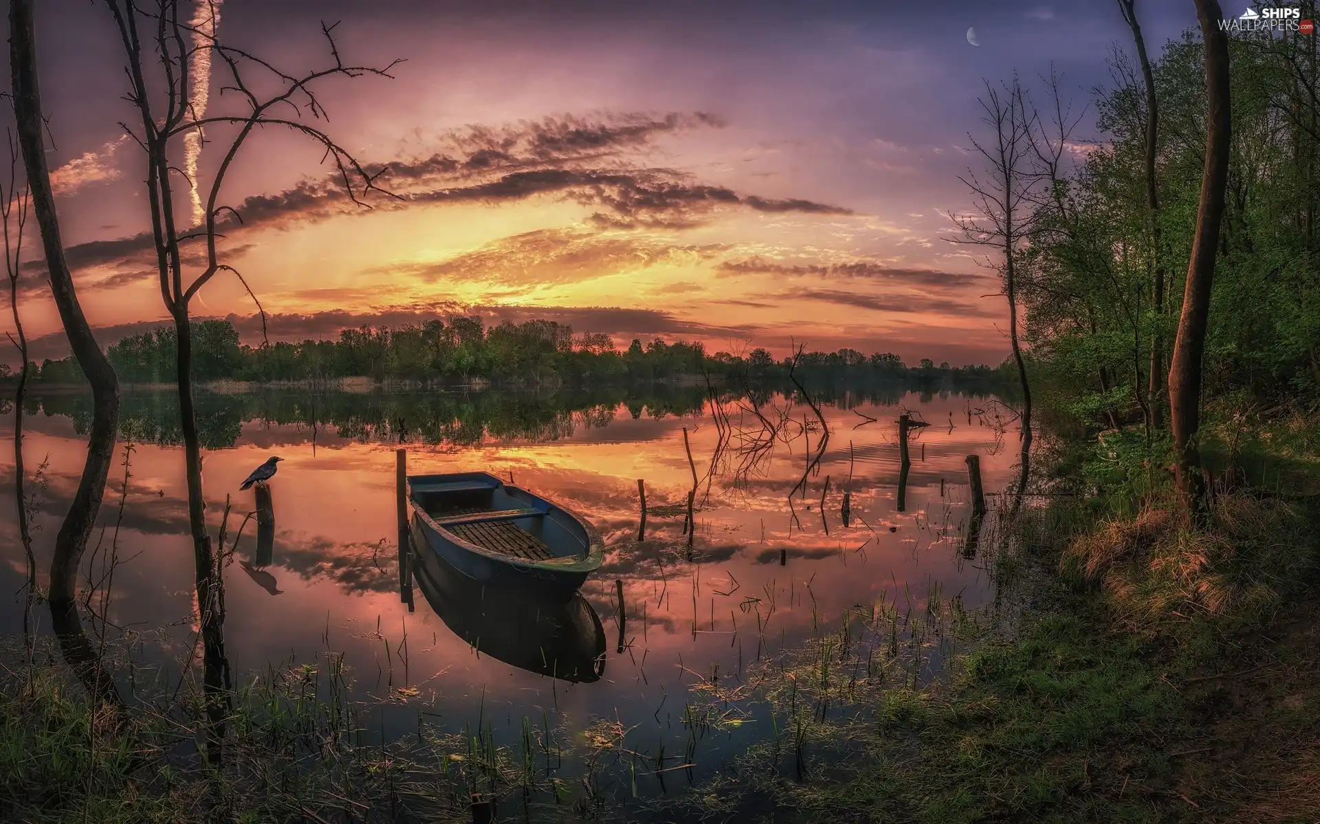 Boat, Great Sunsets, trees, viewes, lake