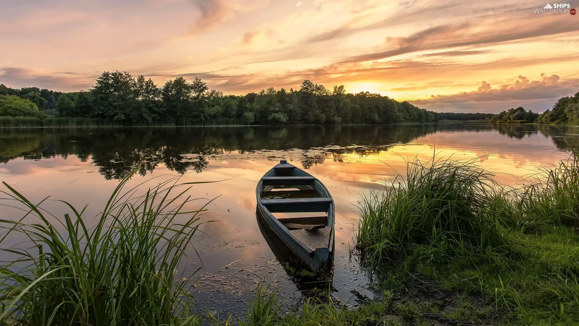 Great Sunsets, River, trees, viewes, grass, Boat