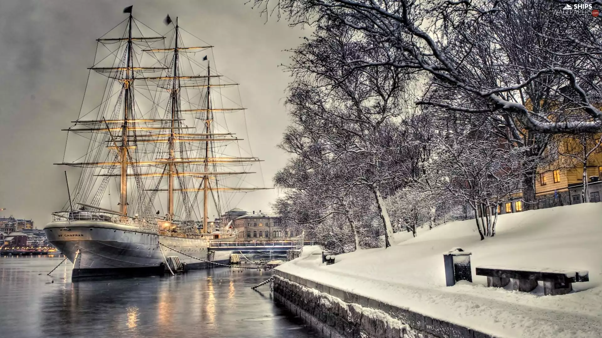 coast, Sailing, branches, trees, snow, sea