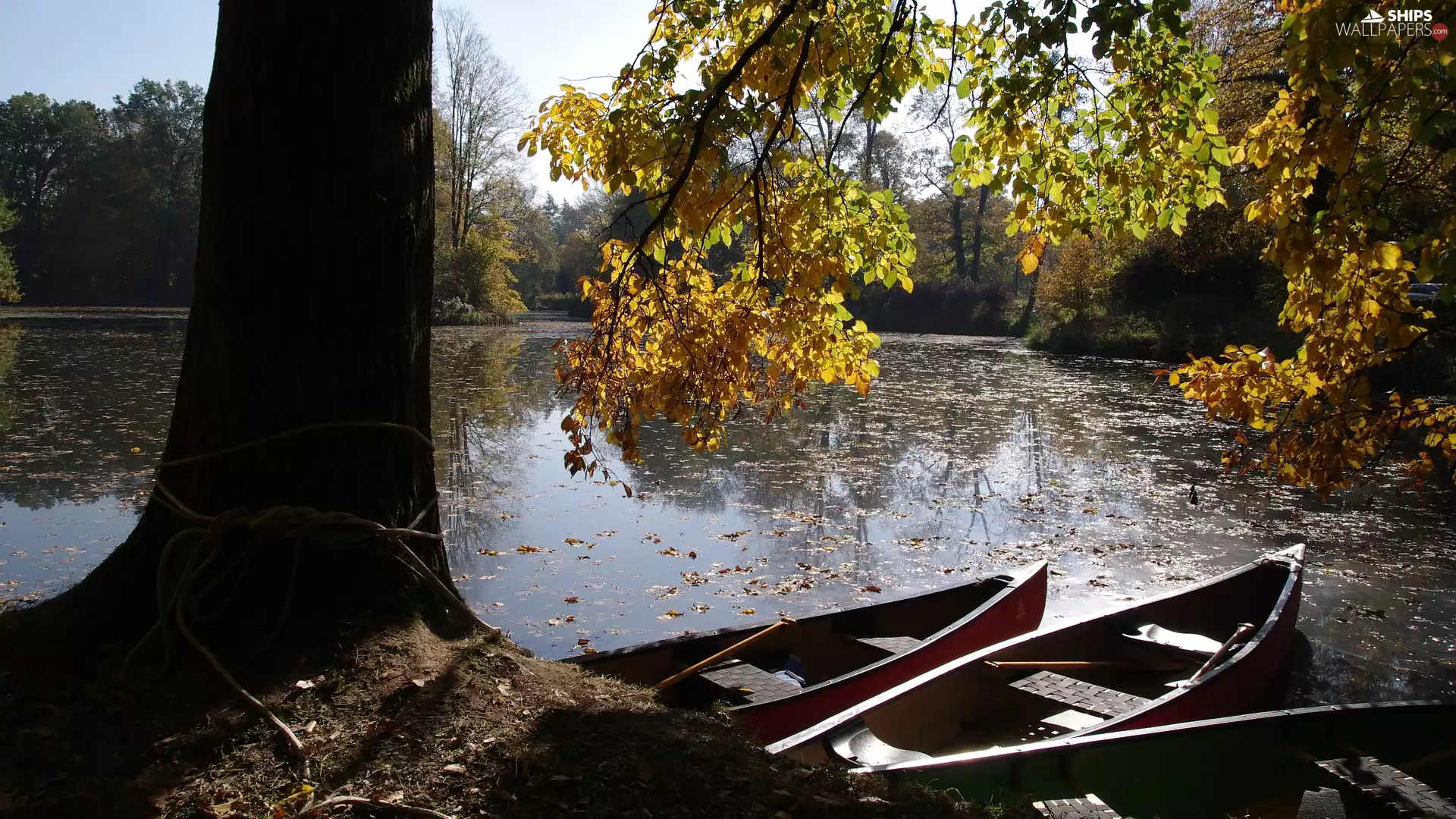 viewes, lake, sunny, trees, boats, autumn, day