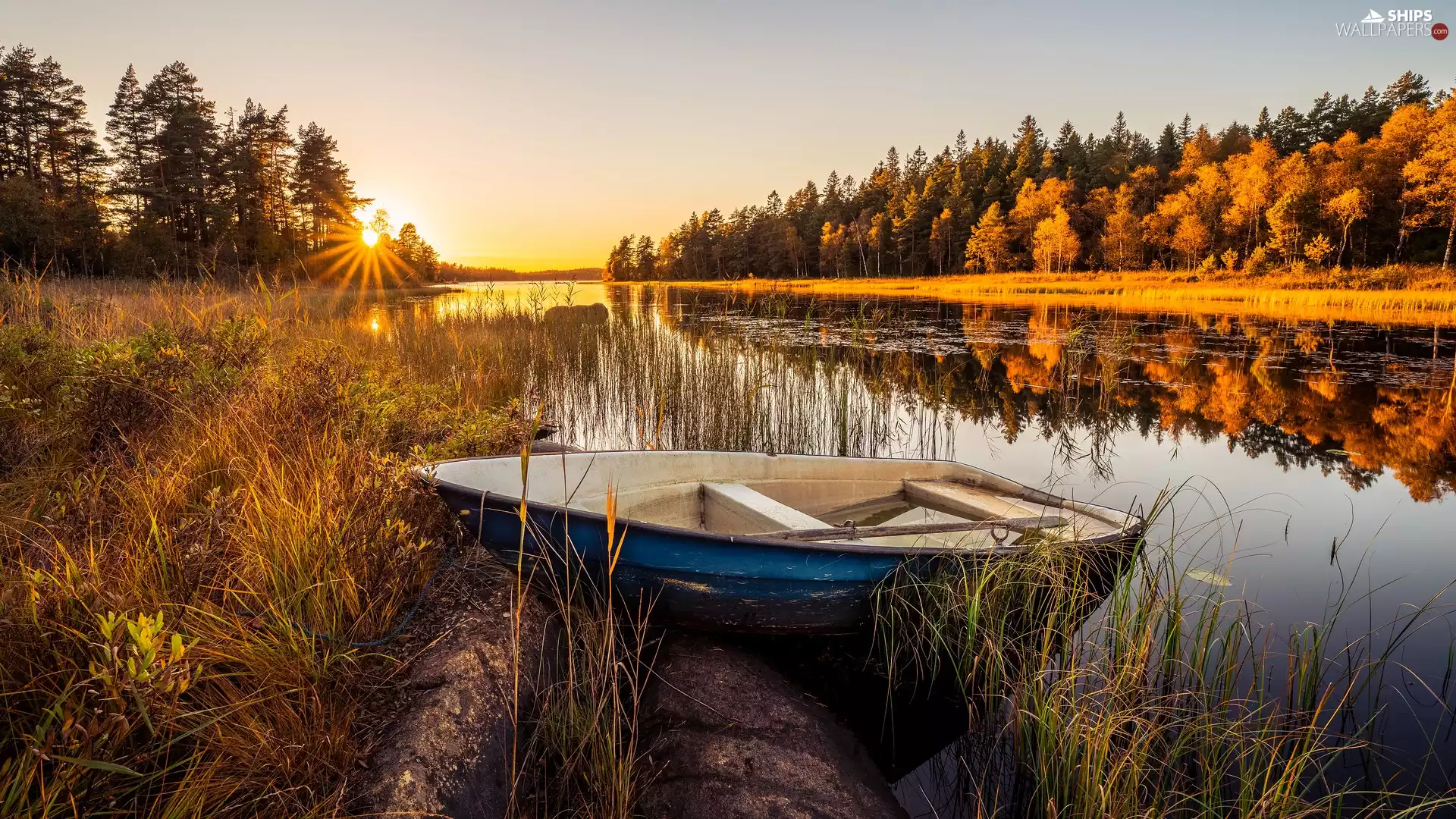 trees, Boat, autumn, forest, lake, viewes, rays of the Sun