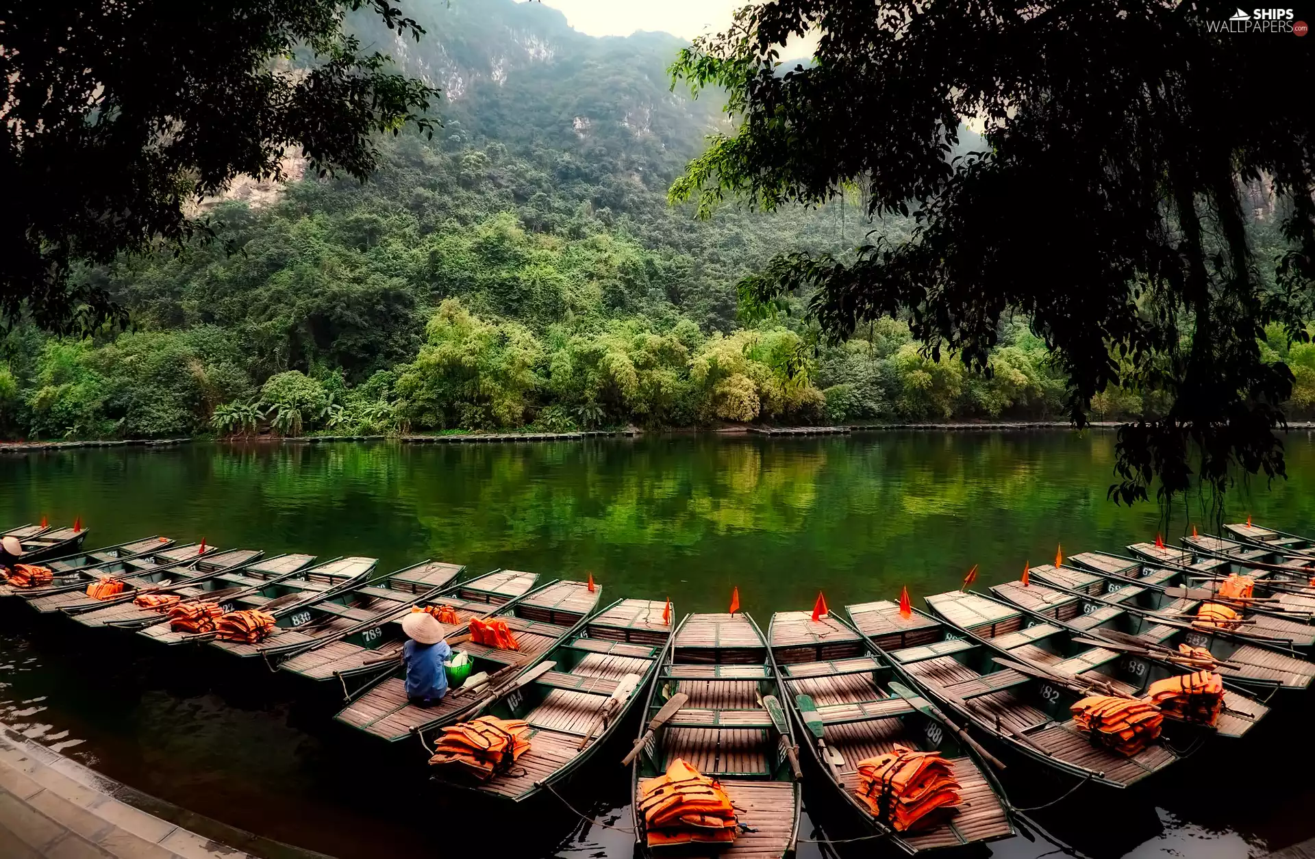 BC, rescue, VEGETATION, forest, viewes, boats, River, trees