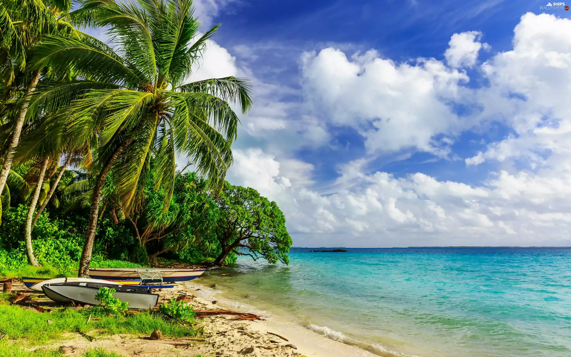 boats, Tropical, Beaches, Palms, sea
