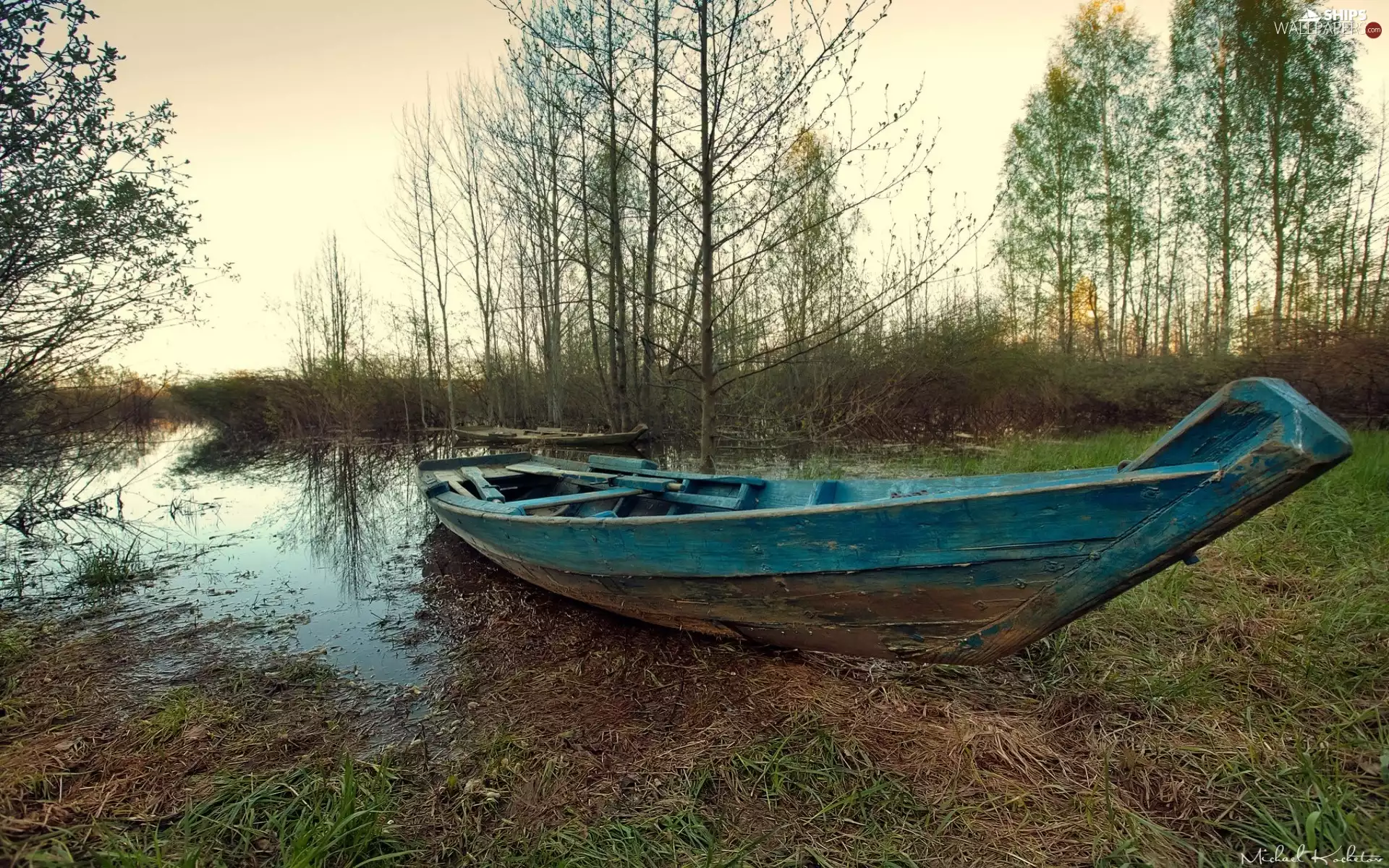 viewes, autumn, bath-tub, trees, swamp