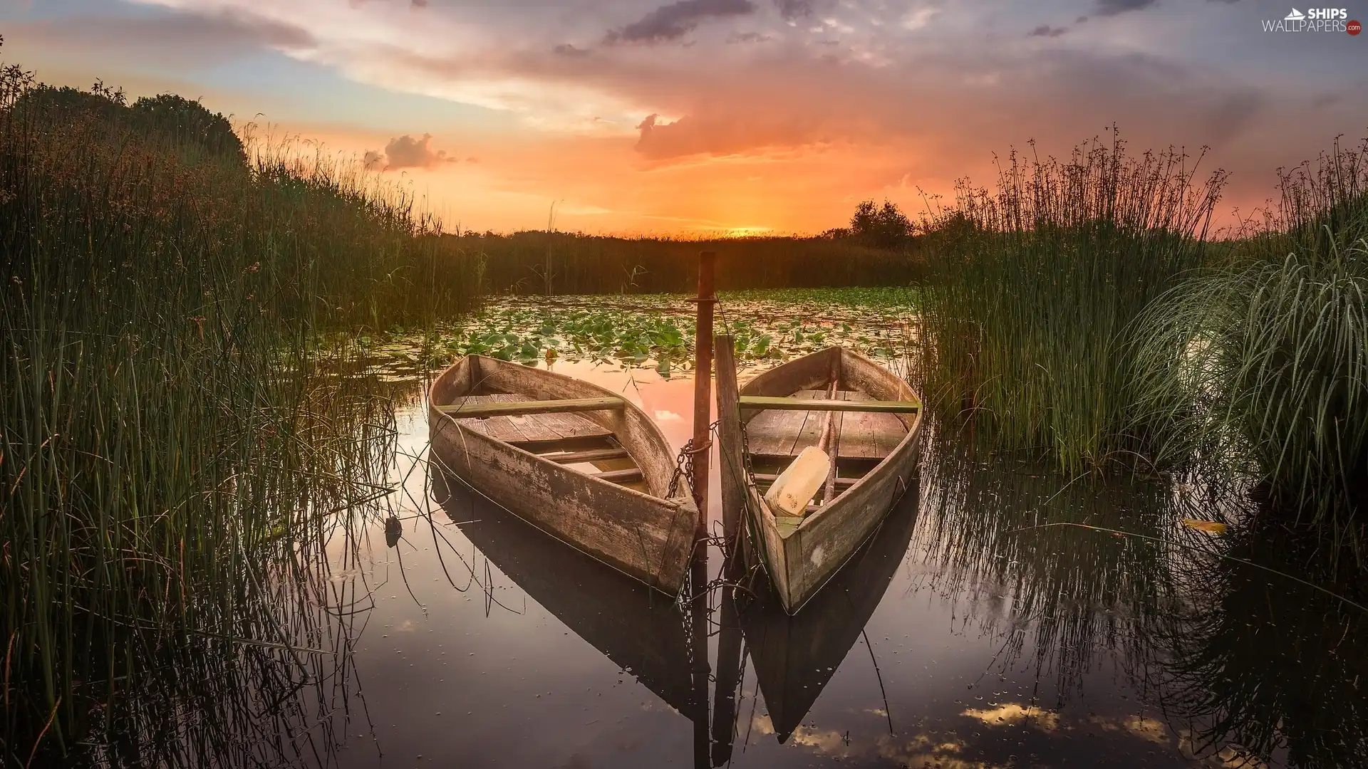 boats, cane, lake, Two, Great Sunsets