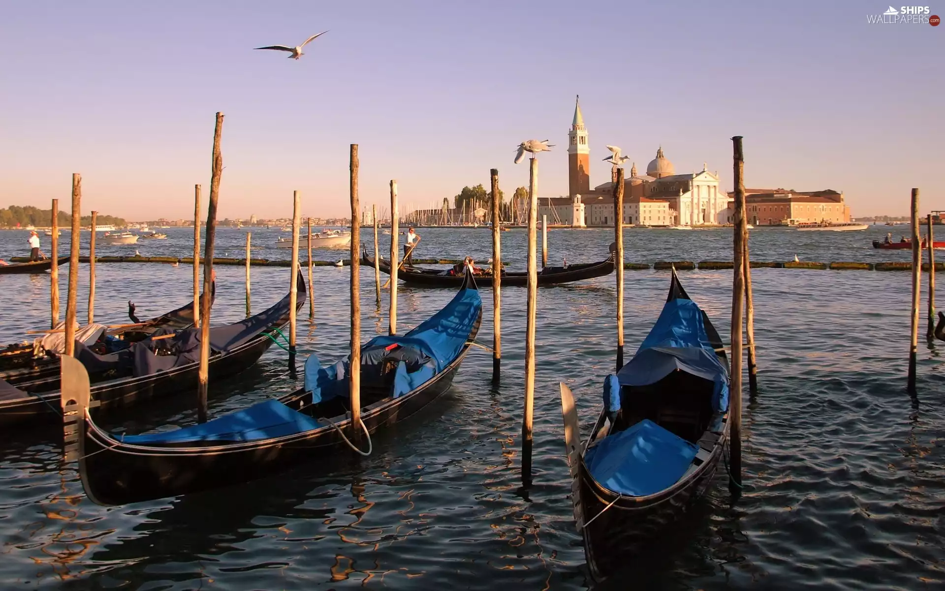 Venice, Gondolas