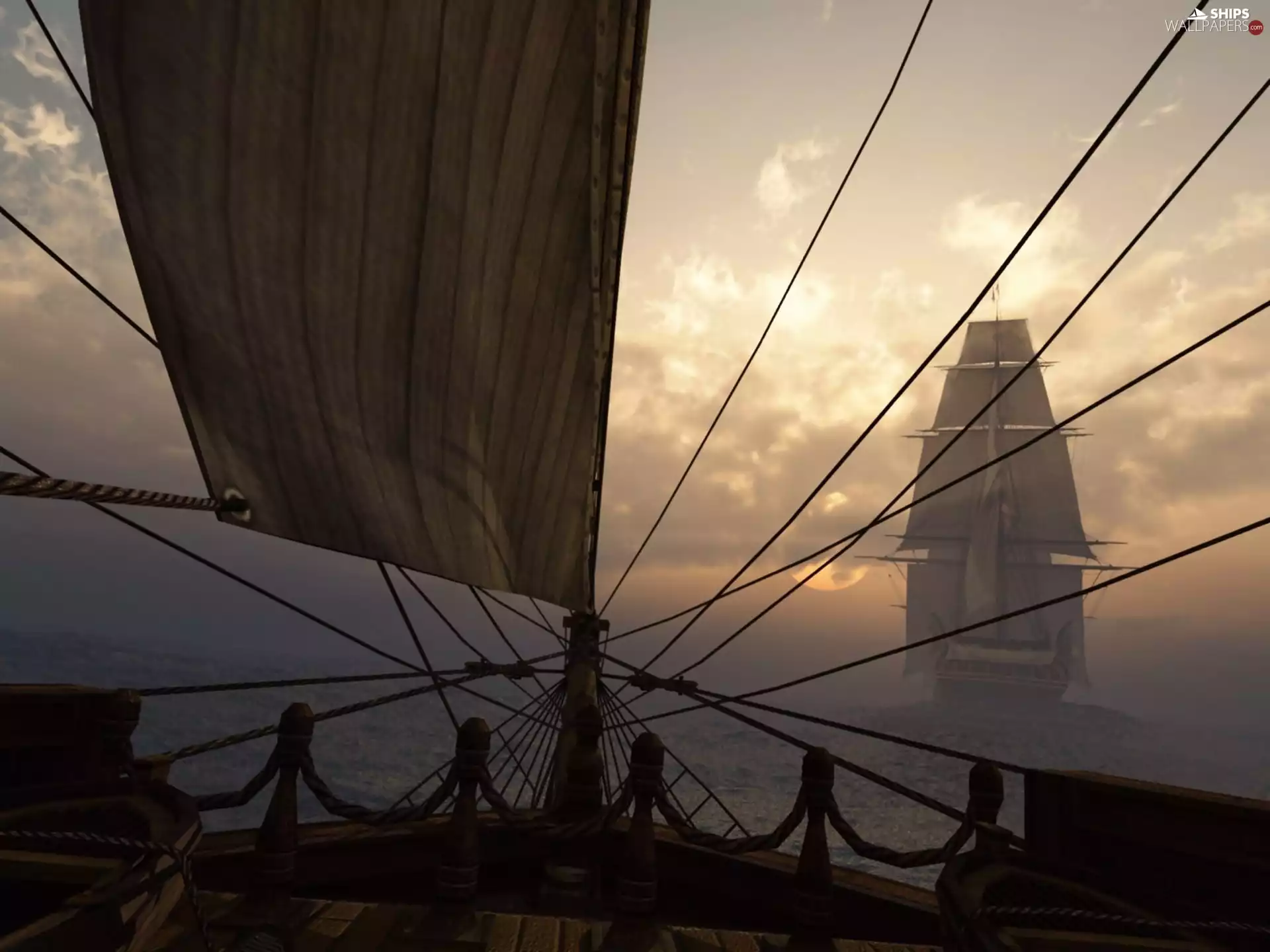 sailing vessel, ropes, seal, nose