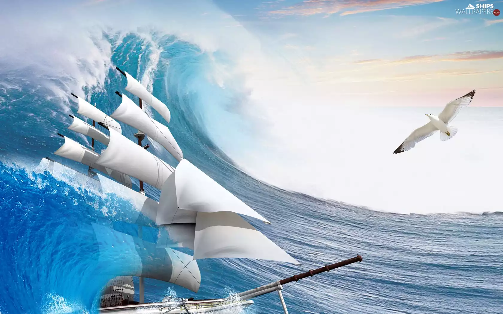 seagull, Tides, sailing vessel