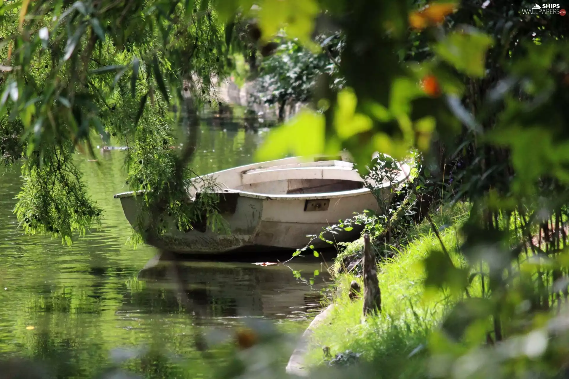 lake, viewes, bath-tub, trees