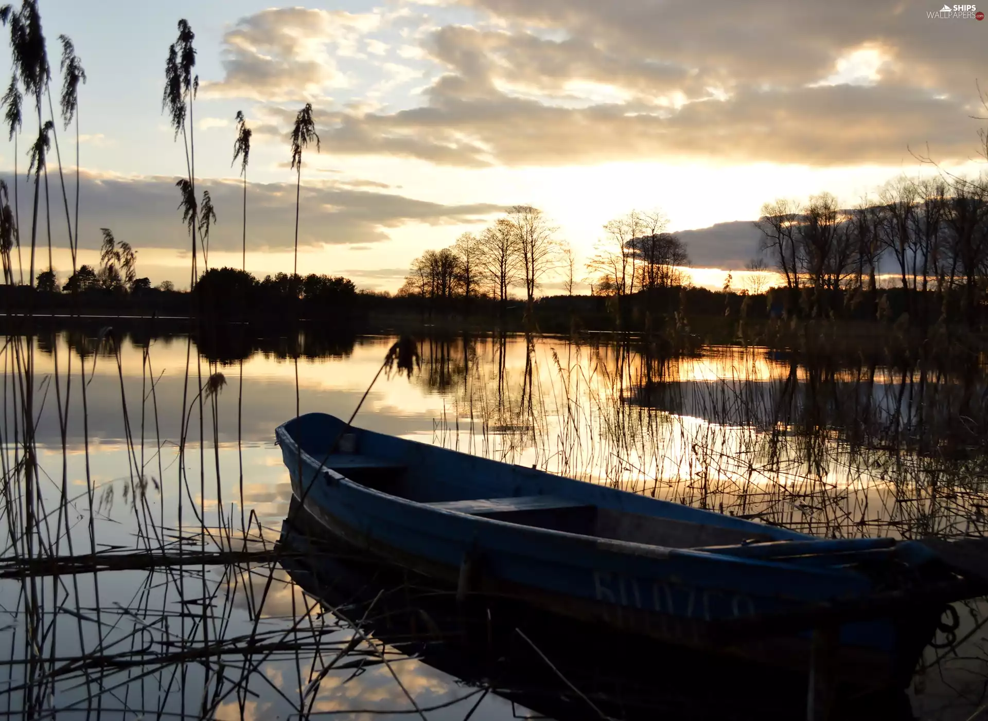 trees, viewes, Boat, clouds, lake