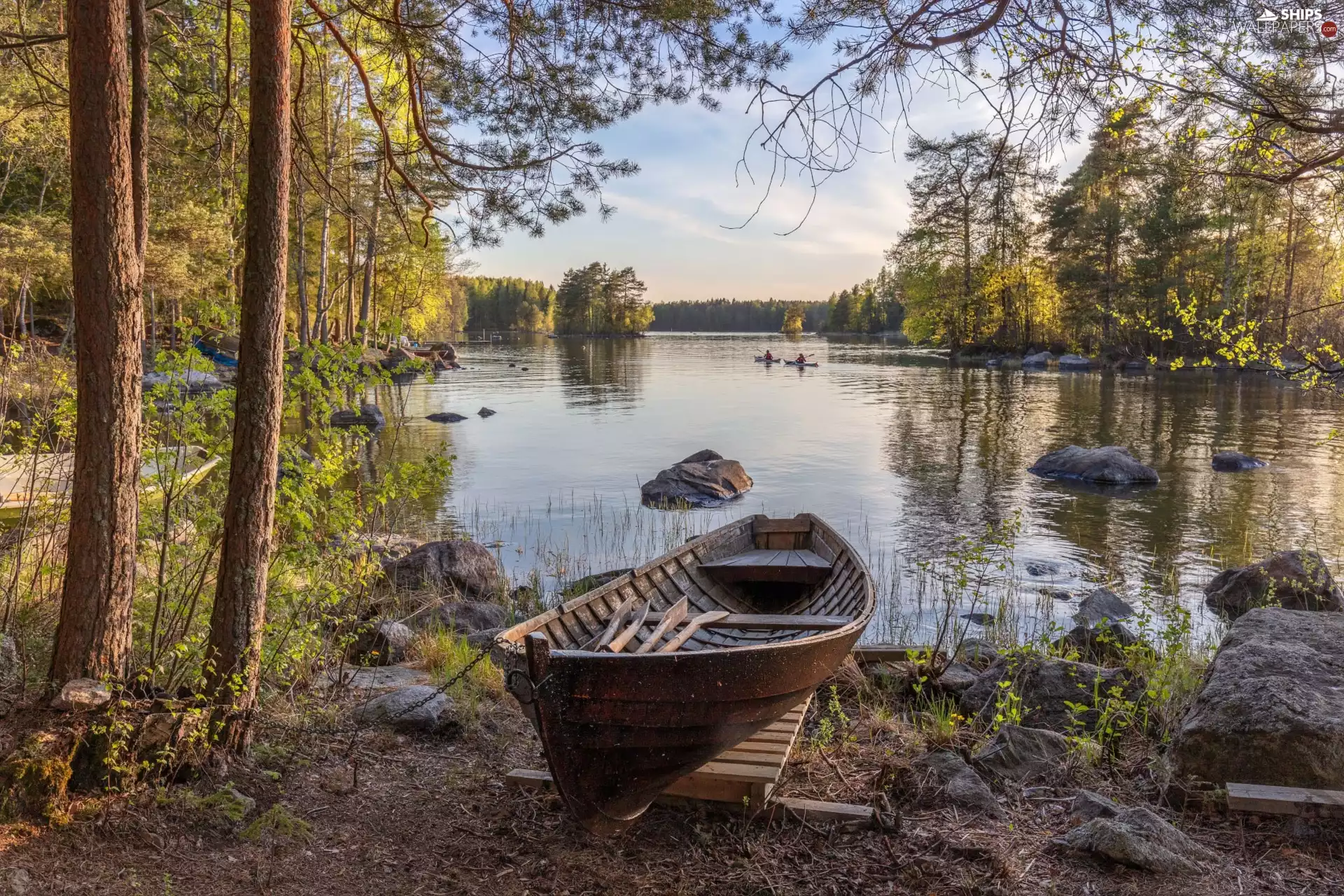 trees, viewes, Boat, coast, lake