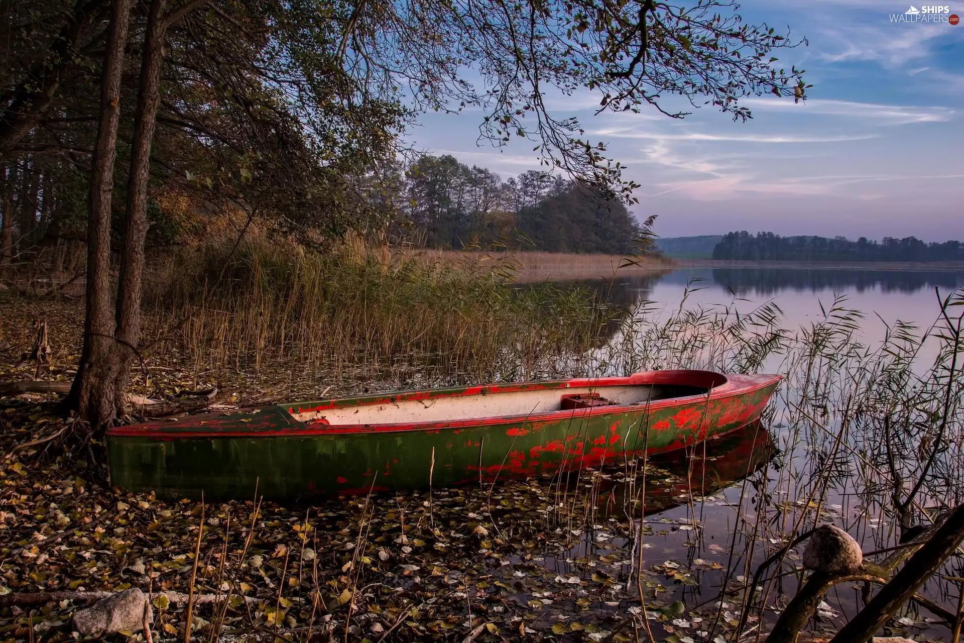 grass, lake, trees, viewes, Leaf, Boat