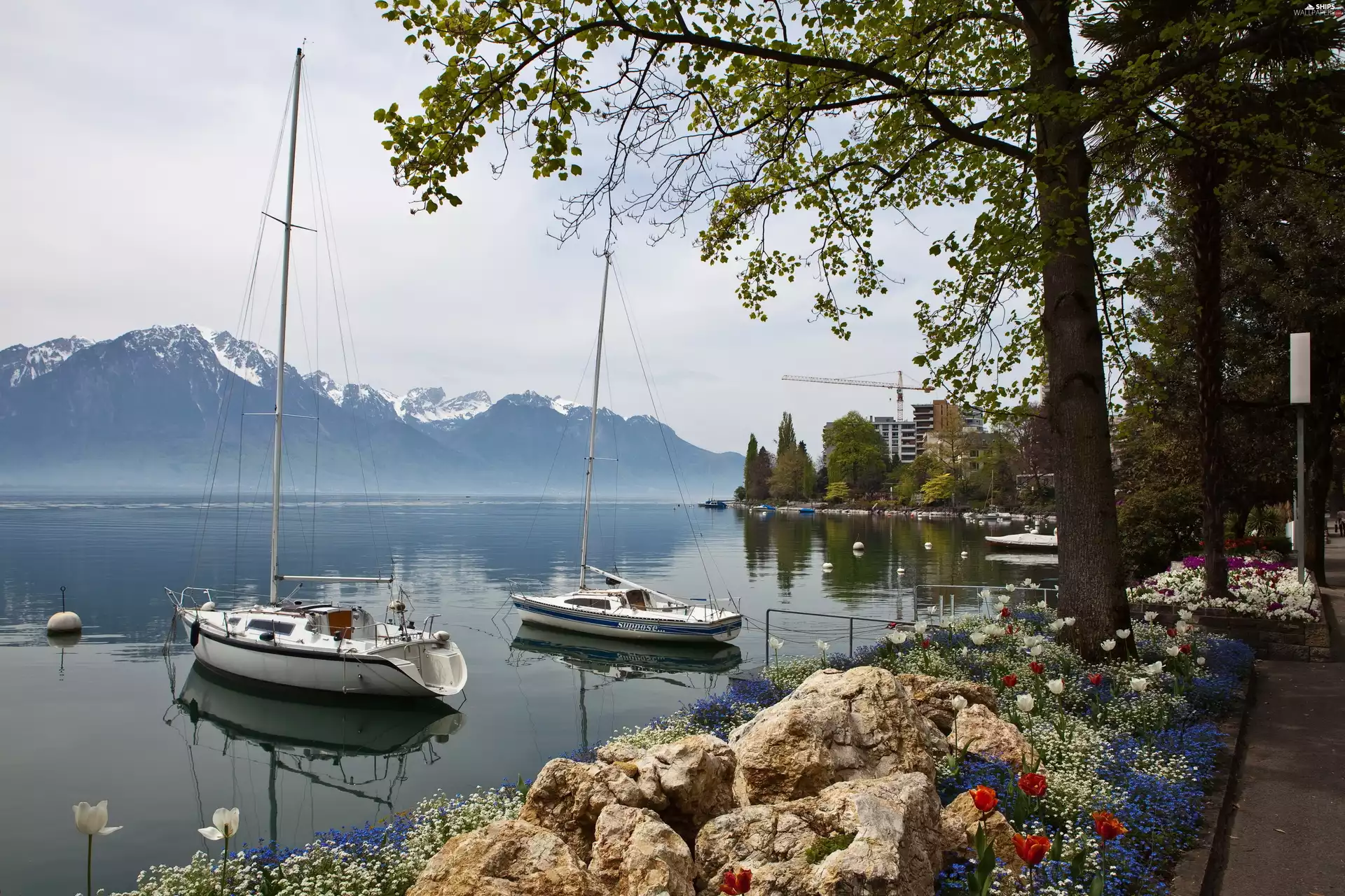 Yachts, lake, trees, viewes, Mountains, Harbour