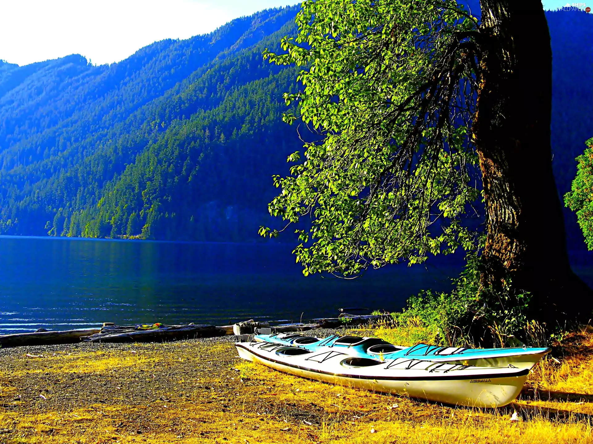 trees, viewes, lake, Mountains, Kayaks
