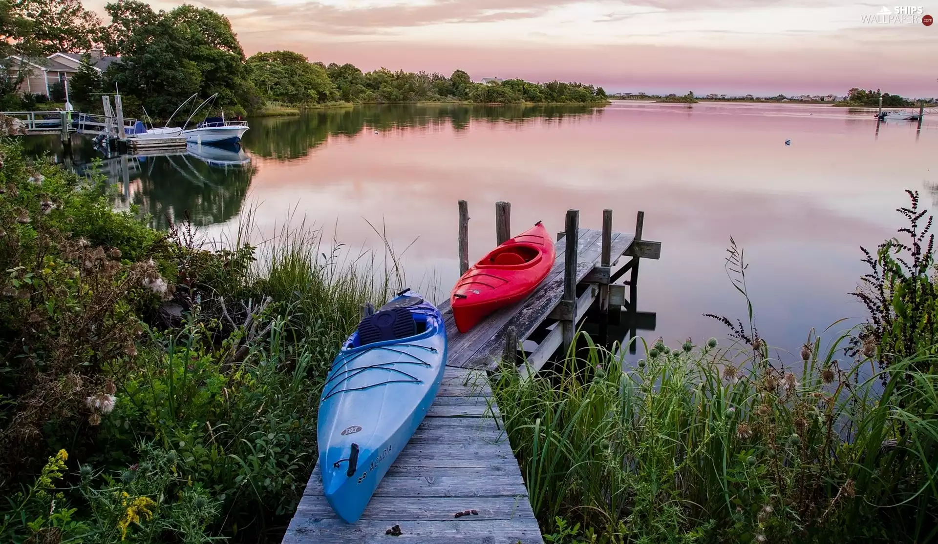 Kayaks, lake, trees, viewes, Plants, Platform