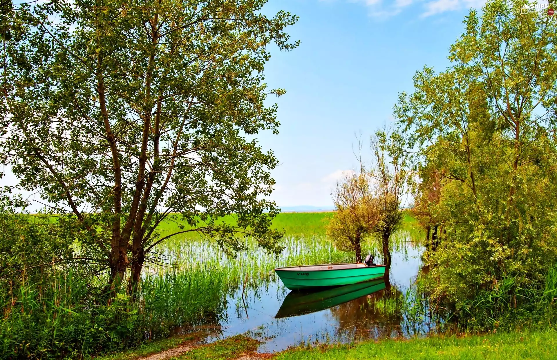 trees, viewes, River, Boat, summer