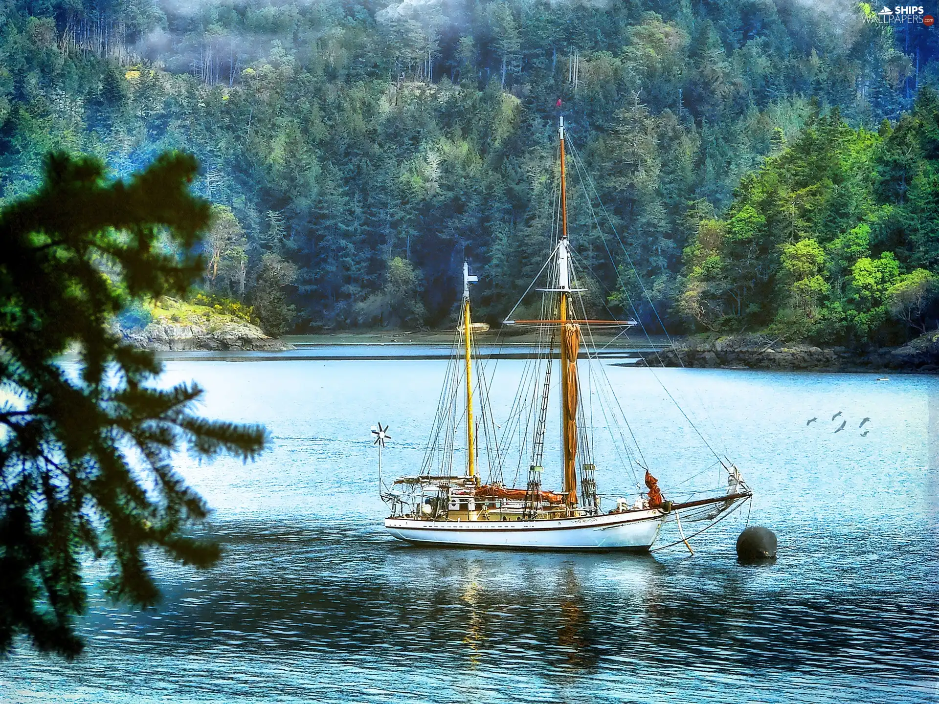 Gulf, trees, viewes, sailing vessel
