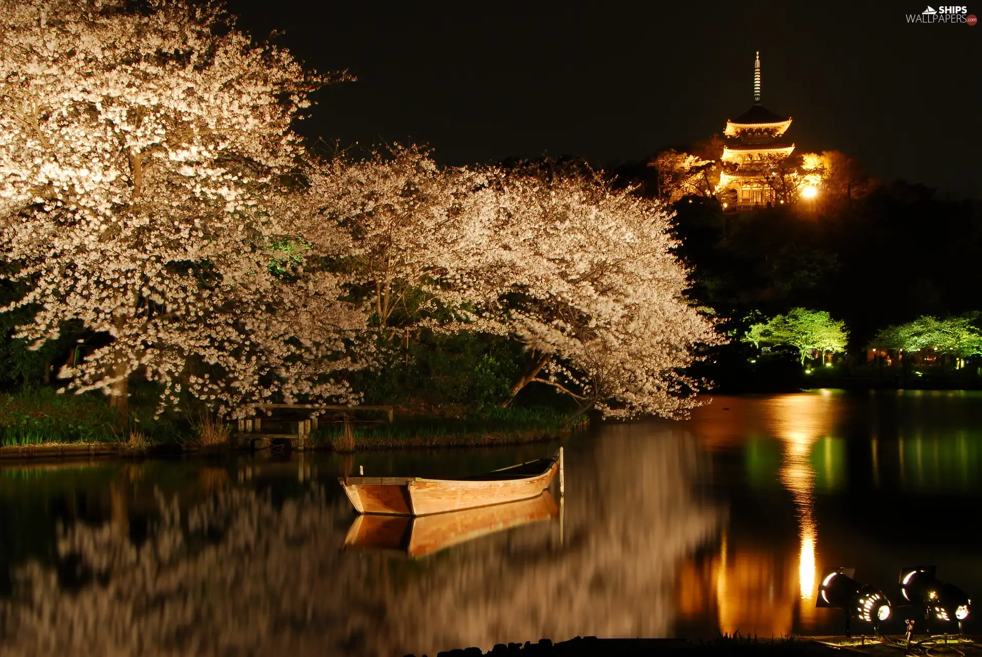 trees, Boat, Night, flourishing, lake, viewes, Spring