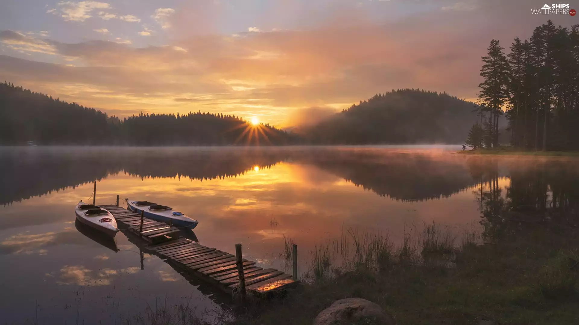 Kayaks, forest, Sunrise, trees, Fog, Platform, lake, viewes