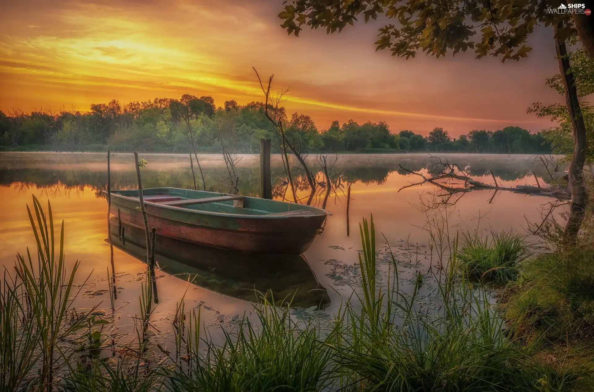 trees, viewes, Sunrise, Boat, lake