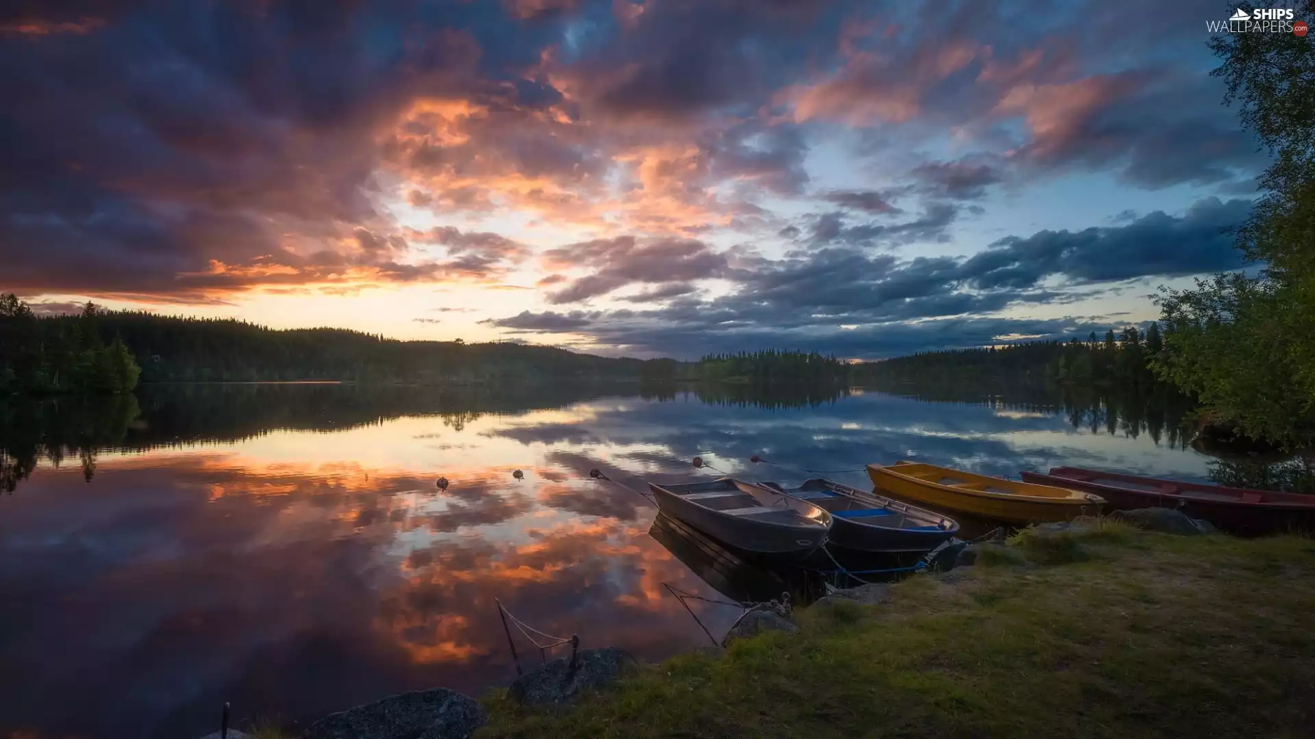 lake, Ringerike, trees, Great Sunsets, Norway, boats, viewes
