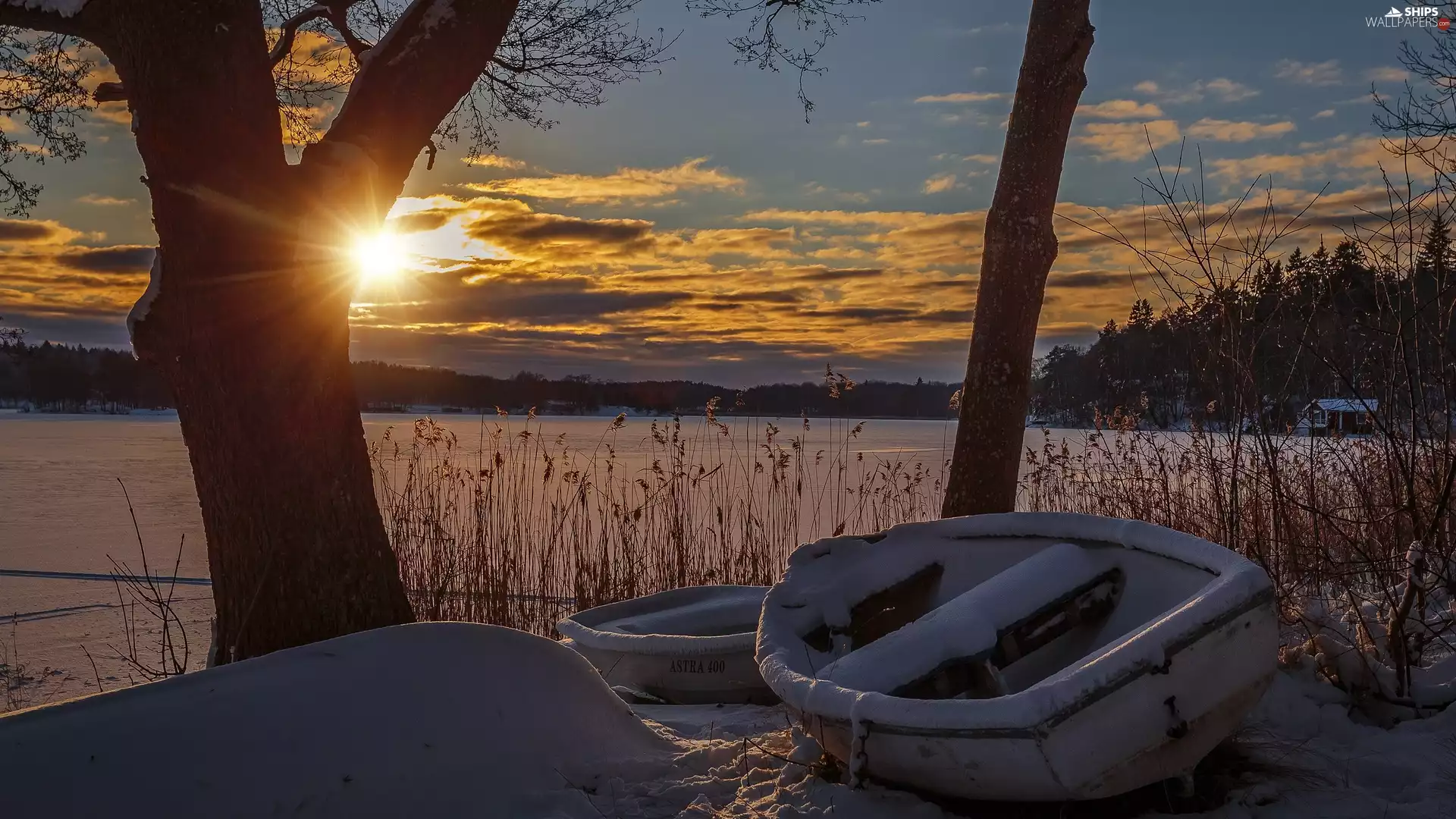 boats, winter, trees, snow, Great Sunsets, lake, viewes