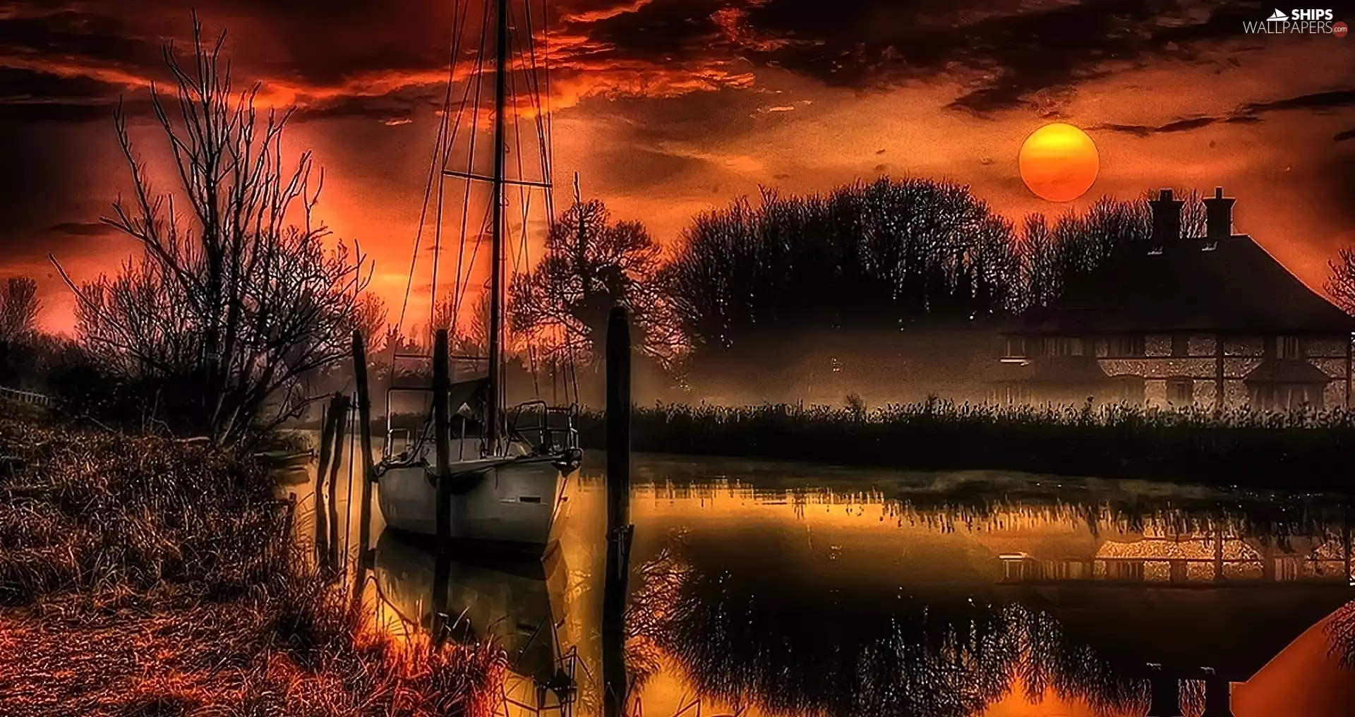 trees, viewes, west, Yacht, River