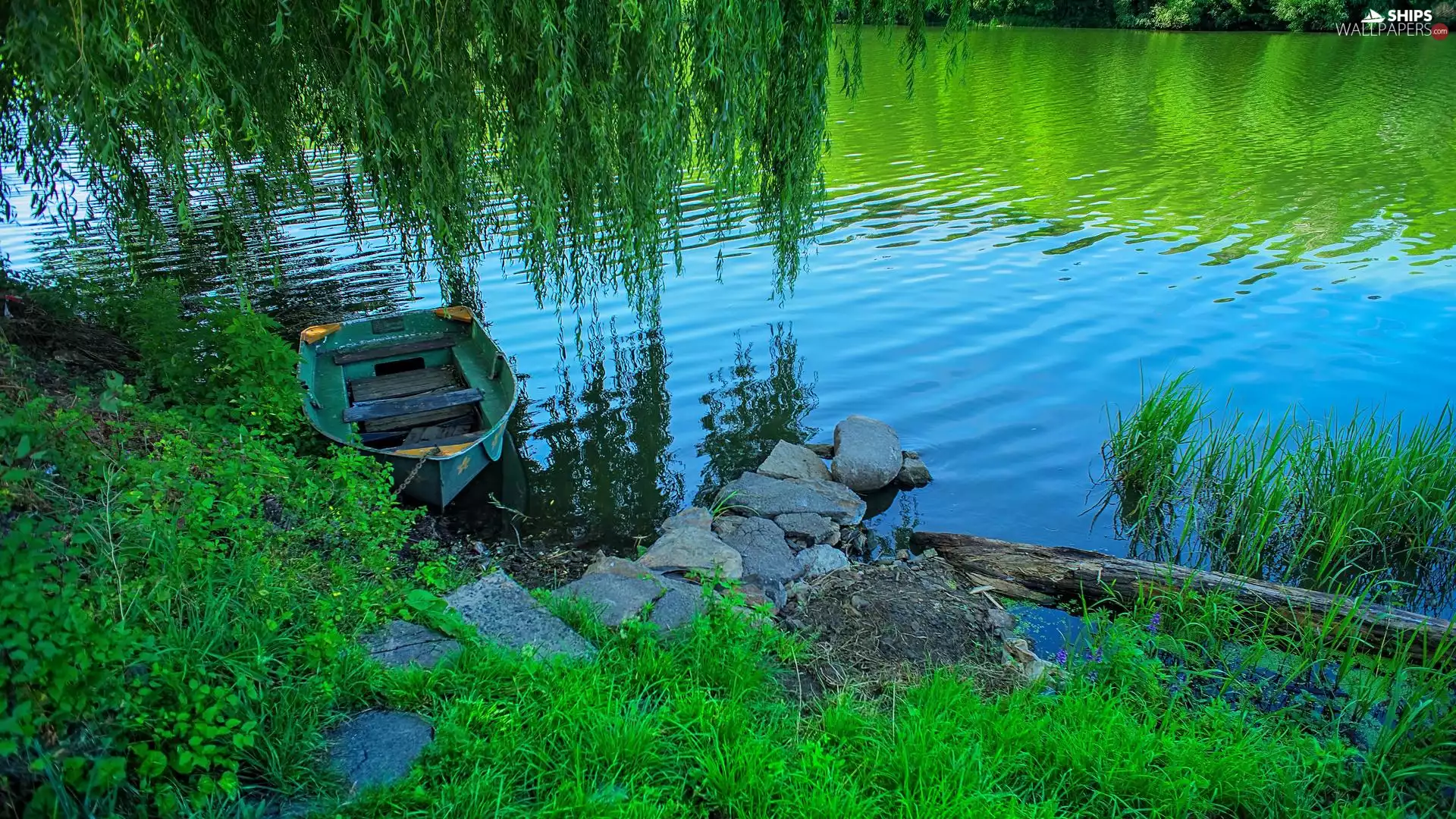 Stones, VEGETATION, Golden Weeping Willow, River, Boat