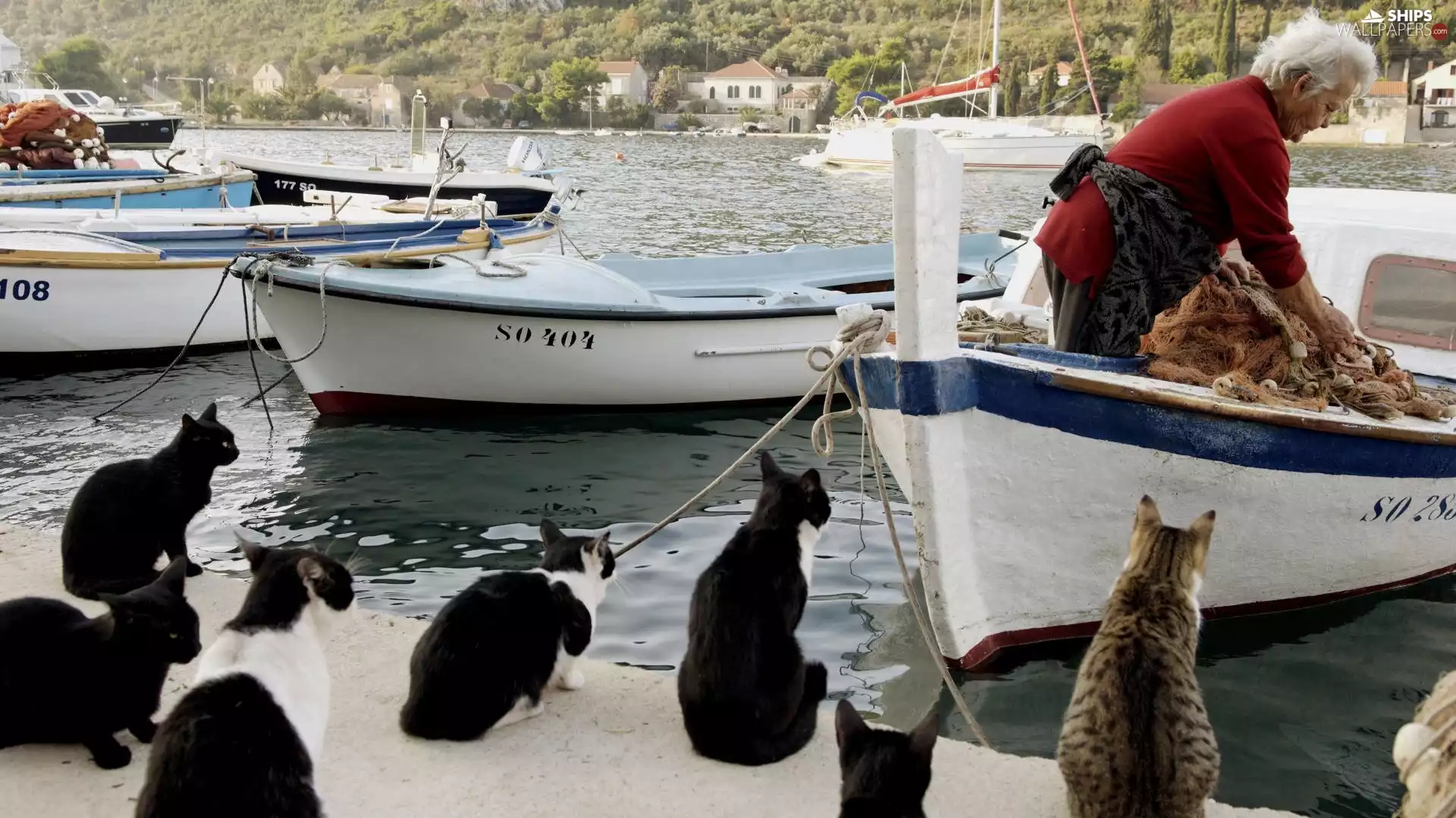 Women, cats, boats