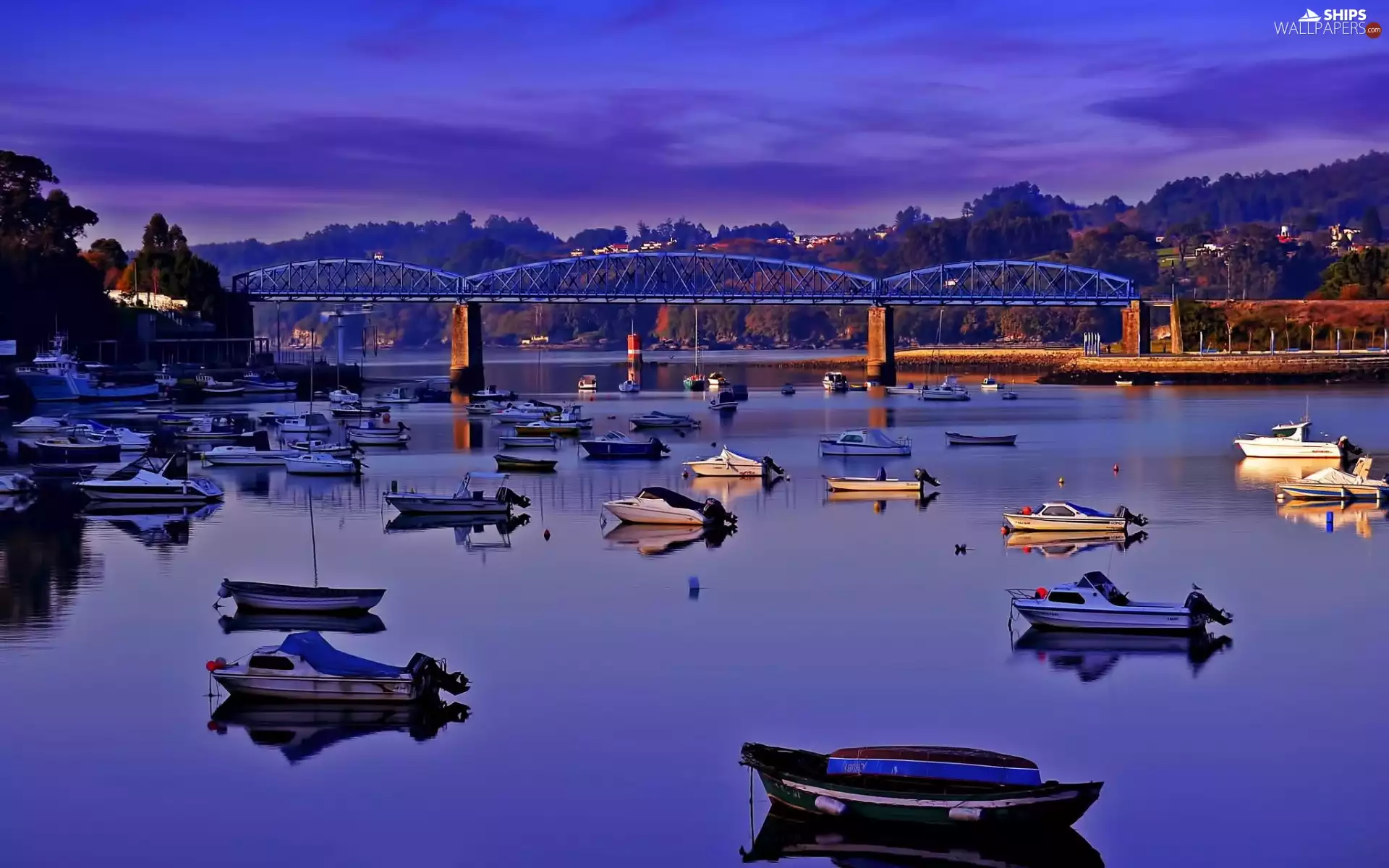 motorboat, woods, bridge, Boats, River