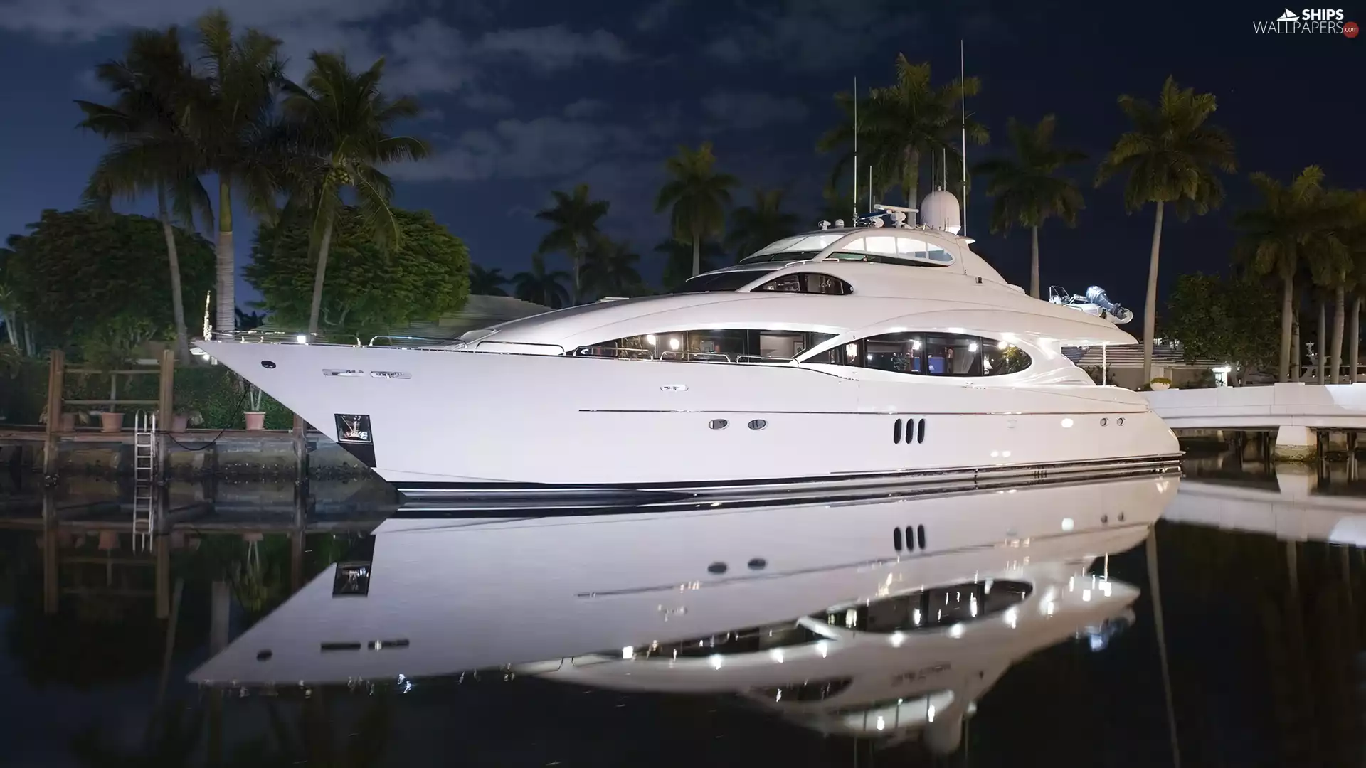 Yacht, Night, Palms