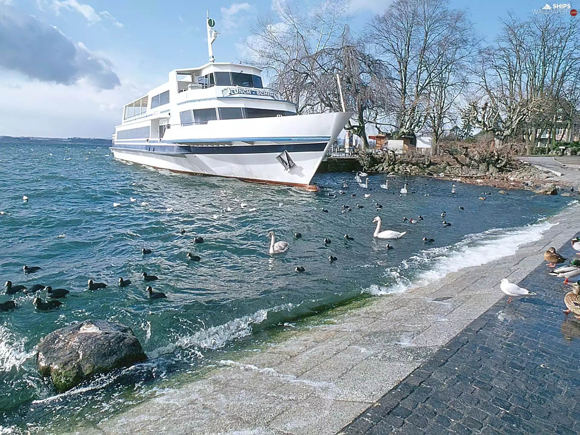 White, lake, birds, Yacht