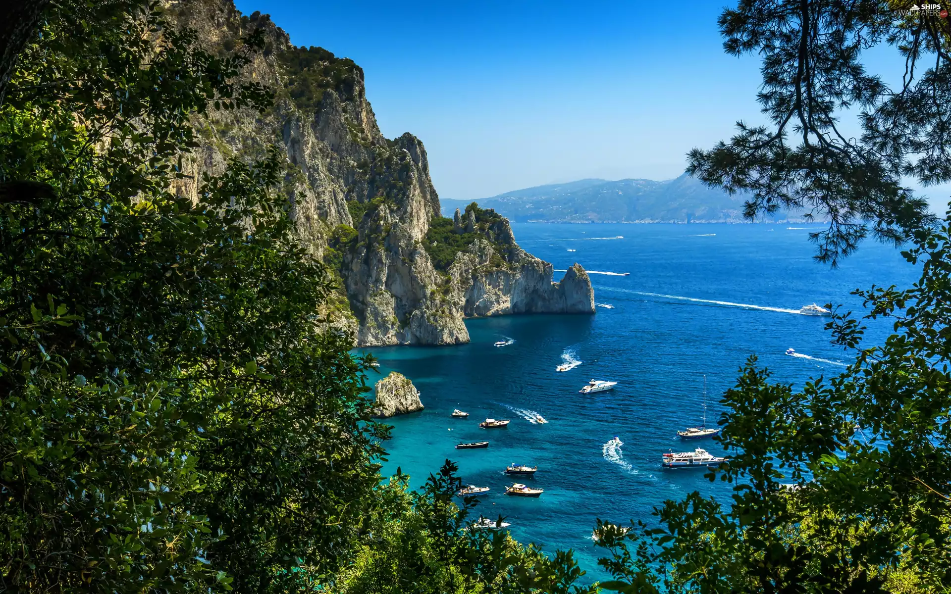 trees, viewes, Capri, sea, motorboat, rocks, Gulf, Yachts