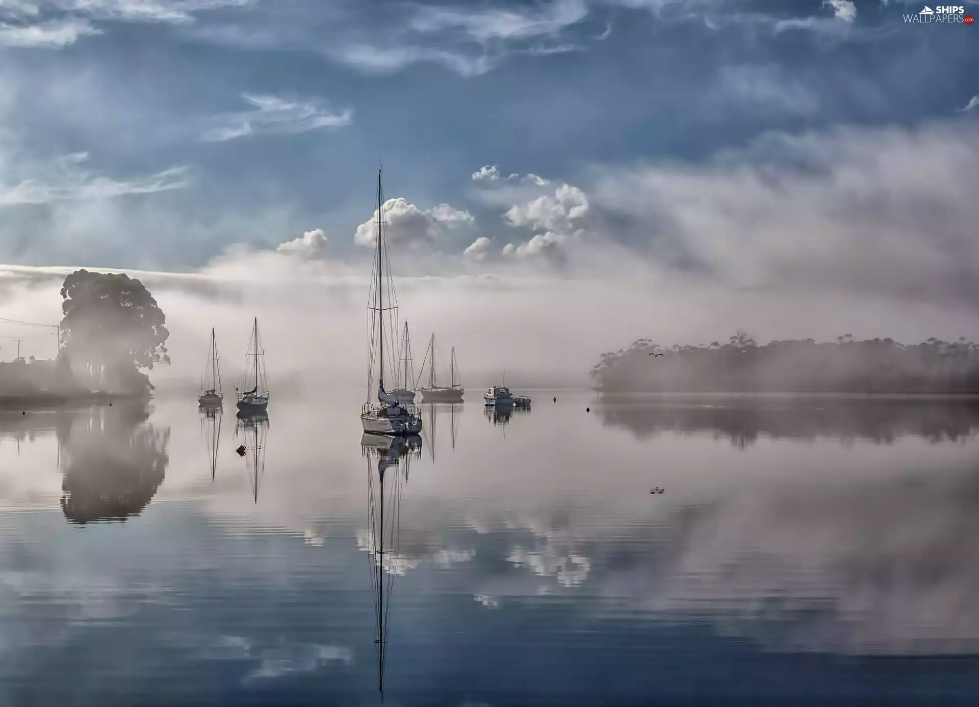 Fog, boats, lake, Yachts