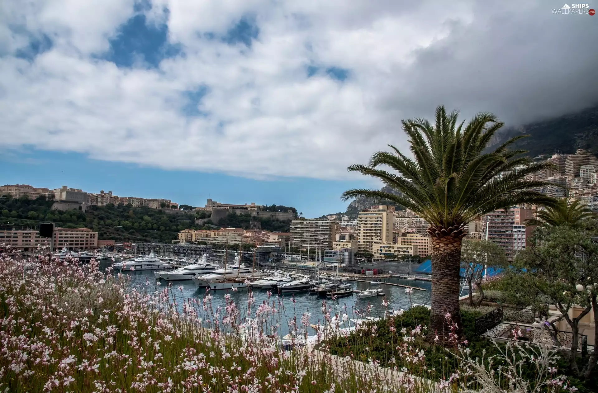 Yachts, Hotels, Harbour