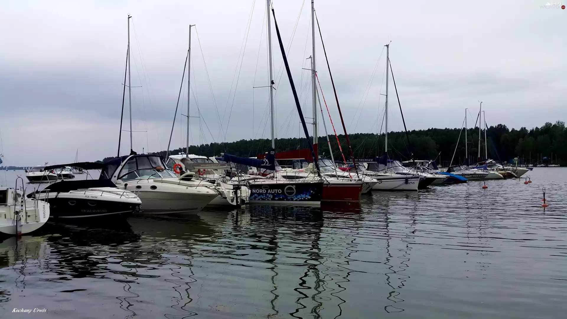 Yachts, River, motorboat