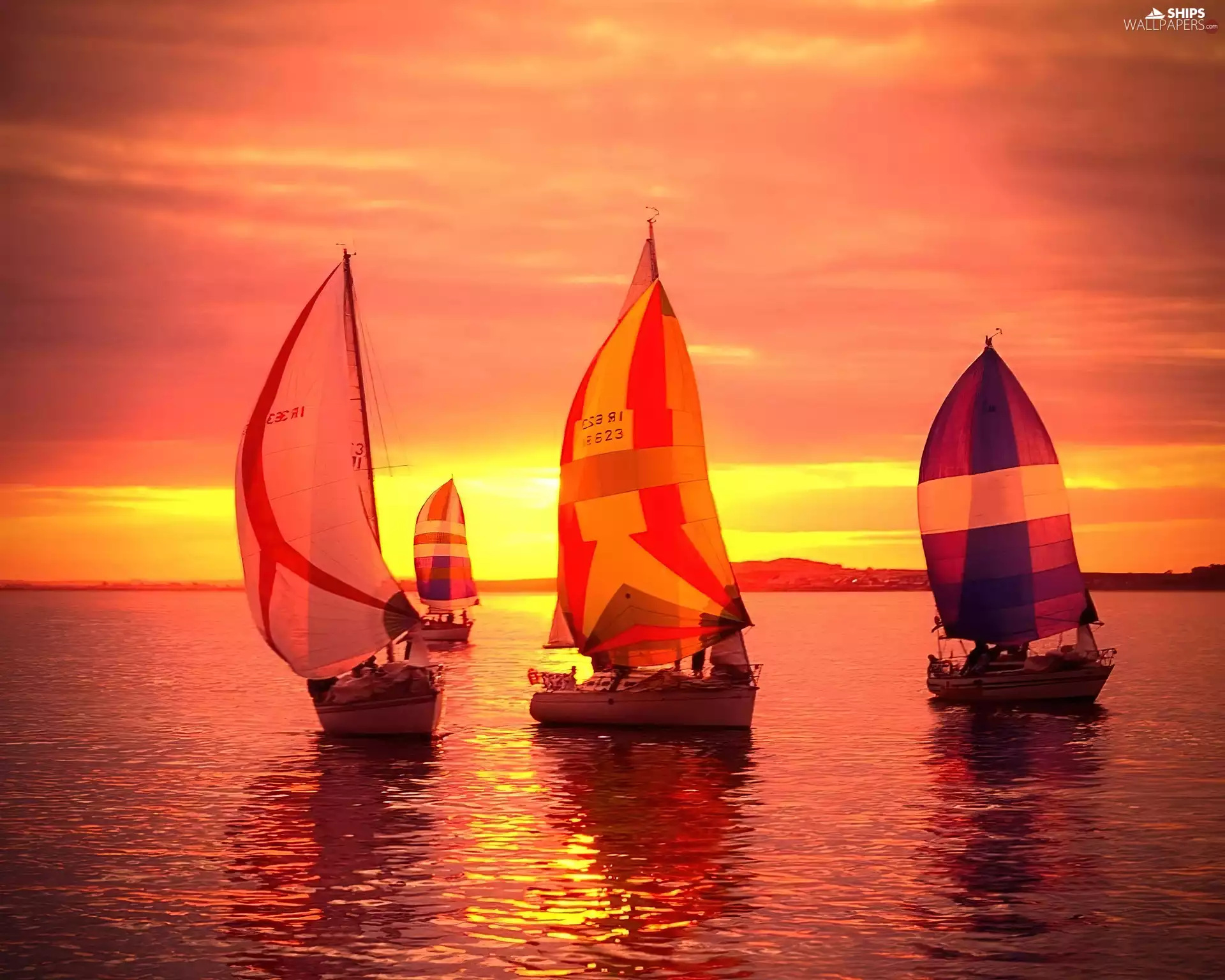 Three, Yachts, west, sun, sea