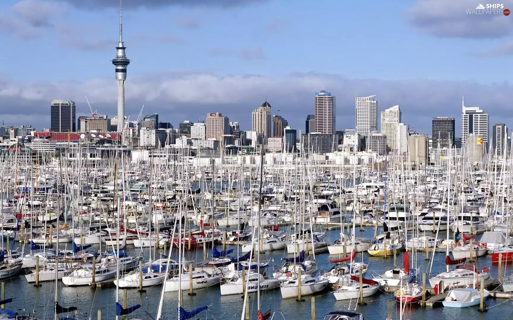 New Zeland, Town, Yachts, Auckland