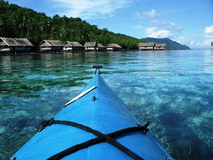trees, water, Islands, Houses, Kayak, viewes, Raja Ampat