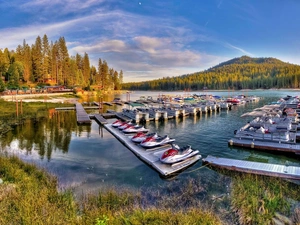 Boats, lake, woods, autumn, motorboat, Harbour