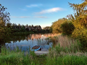 Boat, lake, rushes