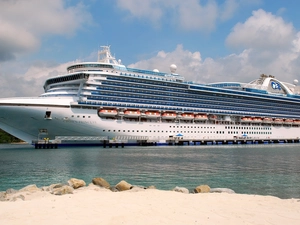 Crown Princess, Launches