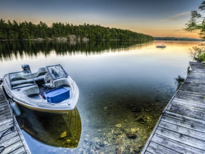 Motor Boat, lake, forest