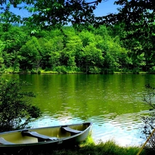 bath-tub, River, forest