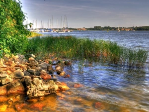 grass, River, Stones