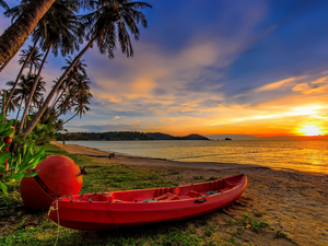 Palms, Kayak, sea, Great Sunsets, Beaches, buoy